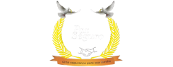 Pax Seguro LTDA